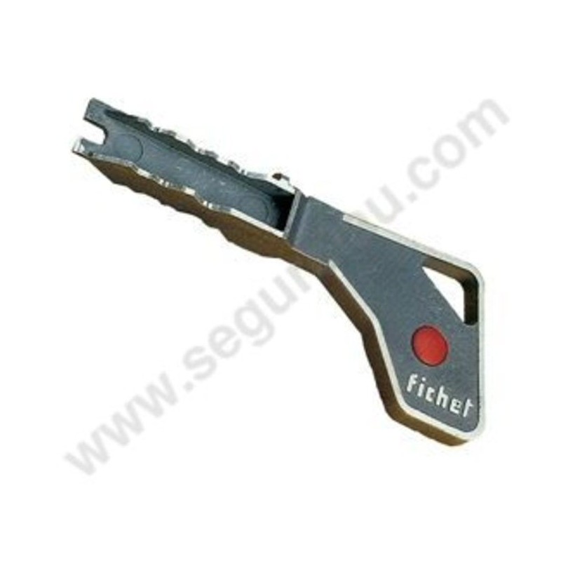 Cilindro FICHET 484 Llave Forma H