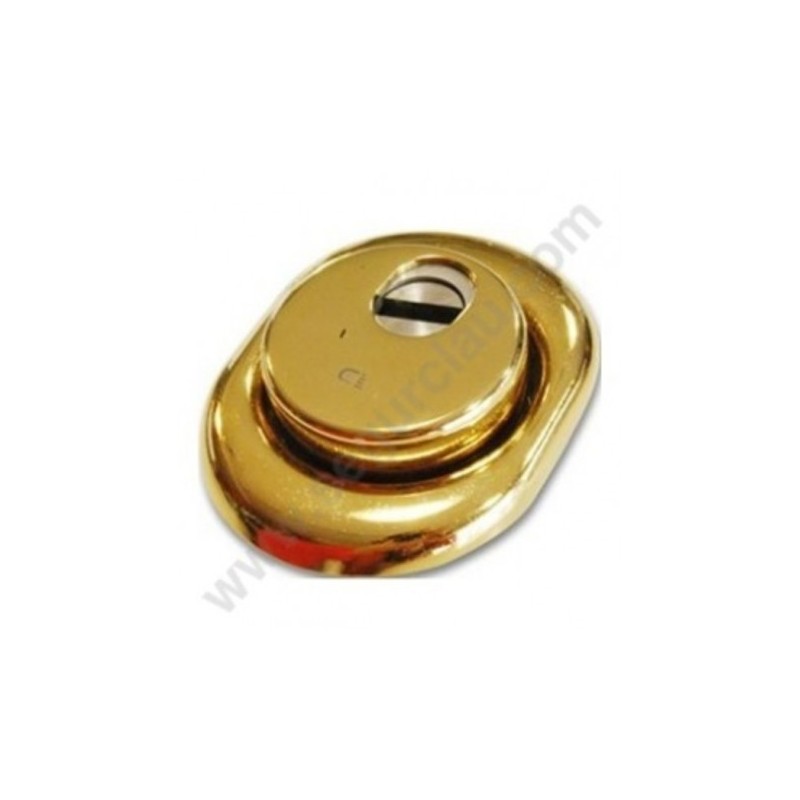 Kit Escudo Disec + Cilindro MUL-T-LOCK MT5+ Reforzado