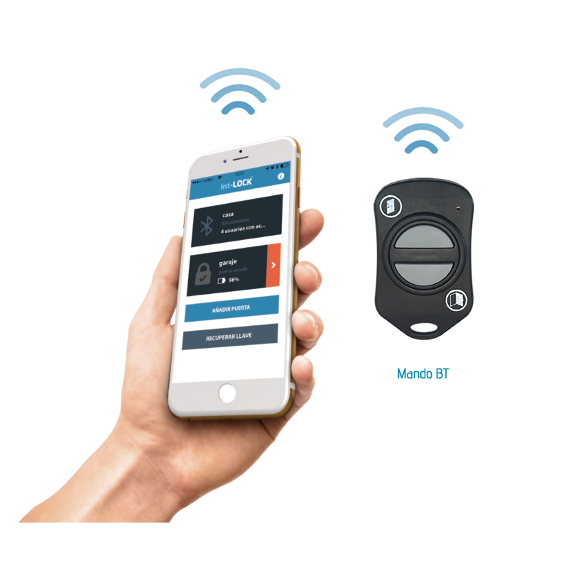 Cerrojo Invisible de Alta Seguridad IntLock
