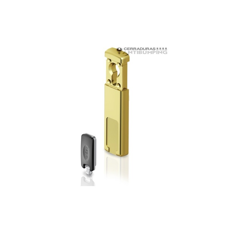 Disec  Escudo protector cerradura magnetico.Placa.Ezcurra.LGMRM29EZC Color  Dorado