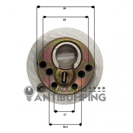 Escudo blindado de alta seguridad DISEC BD280 Serie ROK
