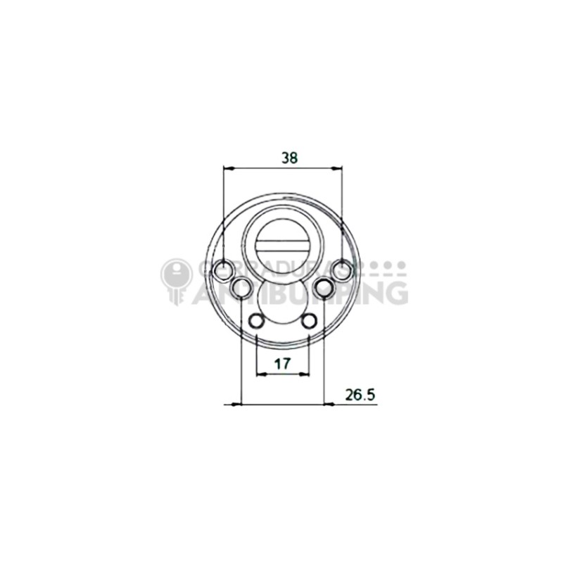 Basset DMC - Escudo de Seguridad