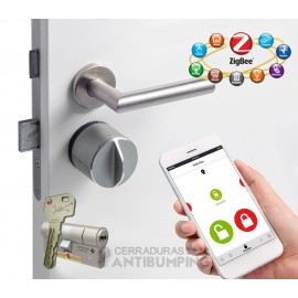 Danalock V3 Zigbee con bombin Condor - Kit de Cerradura...