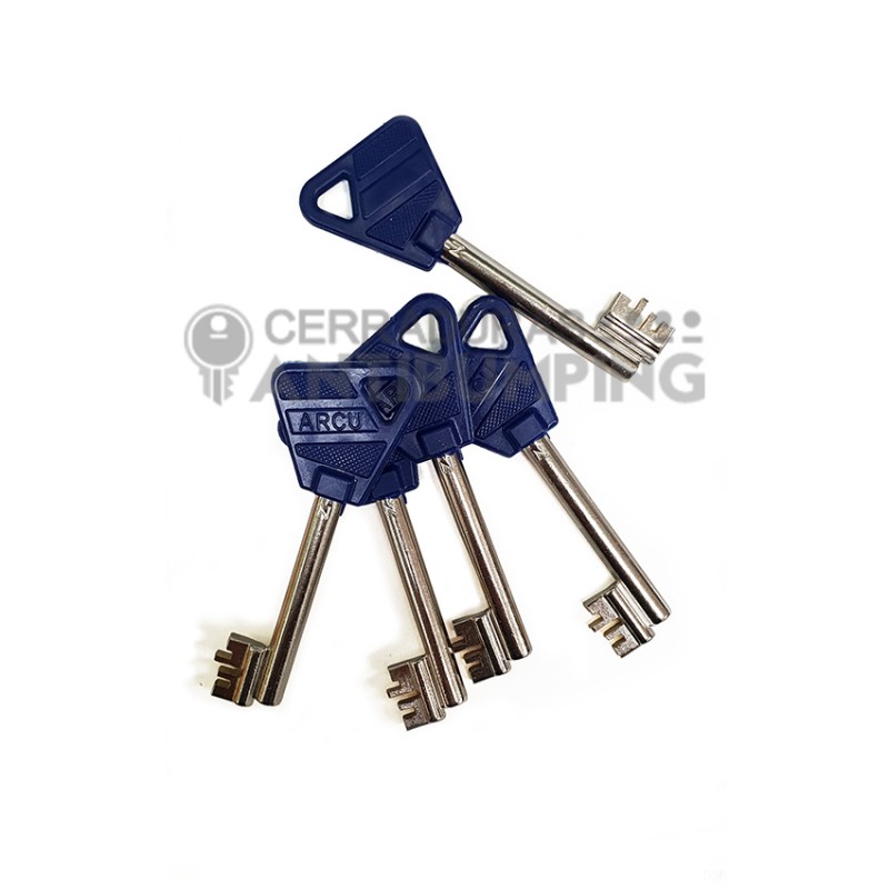 Arcu 509 Antigua - Caja Central Cerradura de...