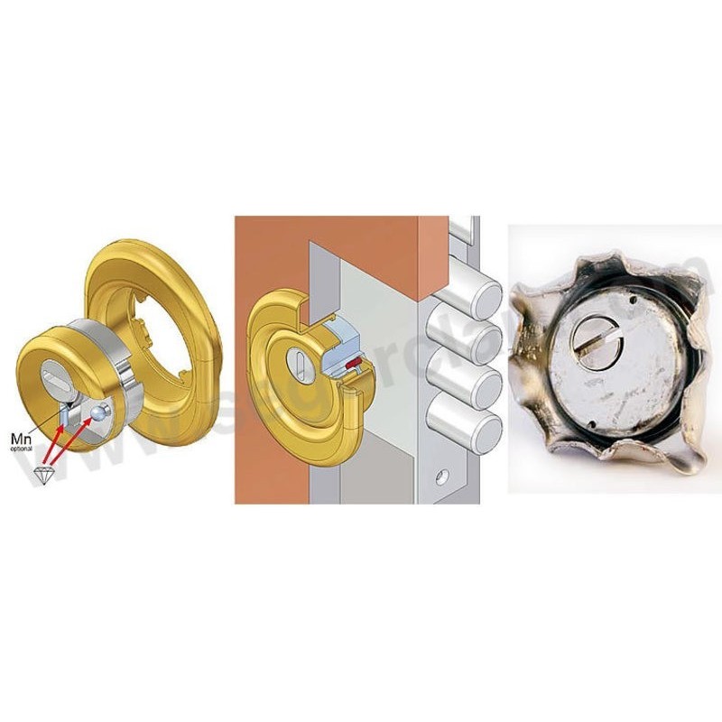 Escudo Protector DISEC Monolito BD 280-29D1R