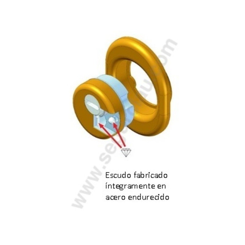 Escudo Protector DISEC Monolito BD 280-29D1R