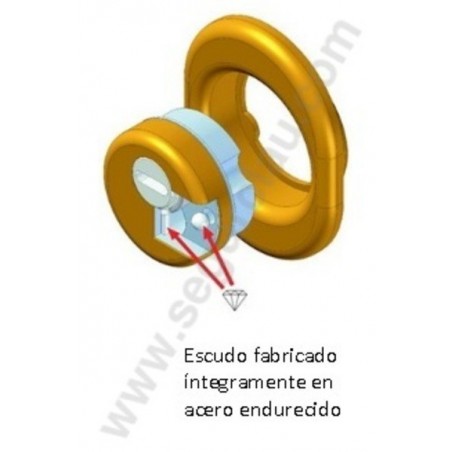 Escudo Protector DISEC Monolito BD 280-29D1R Escudo Protector DISEC Monolito BD 280-29D1R