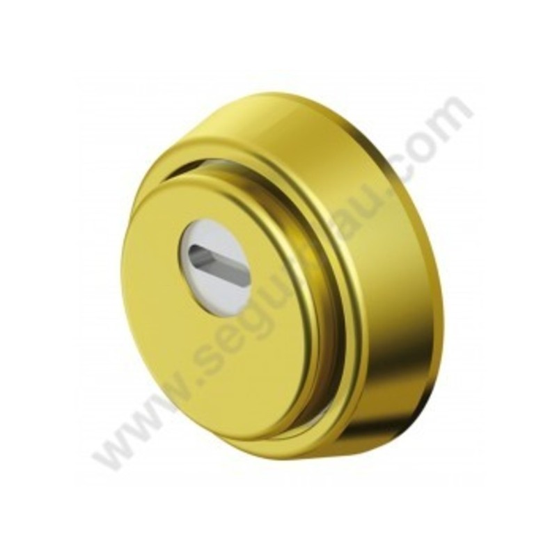 Escudo Protector DISEC Magnetico MRM 29E-35D1R