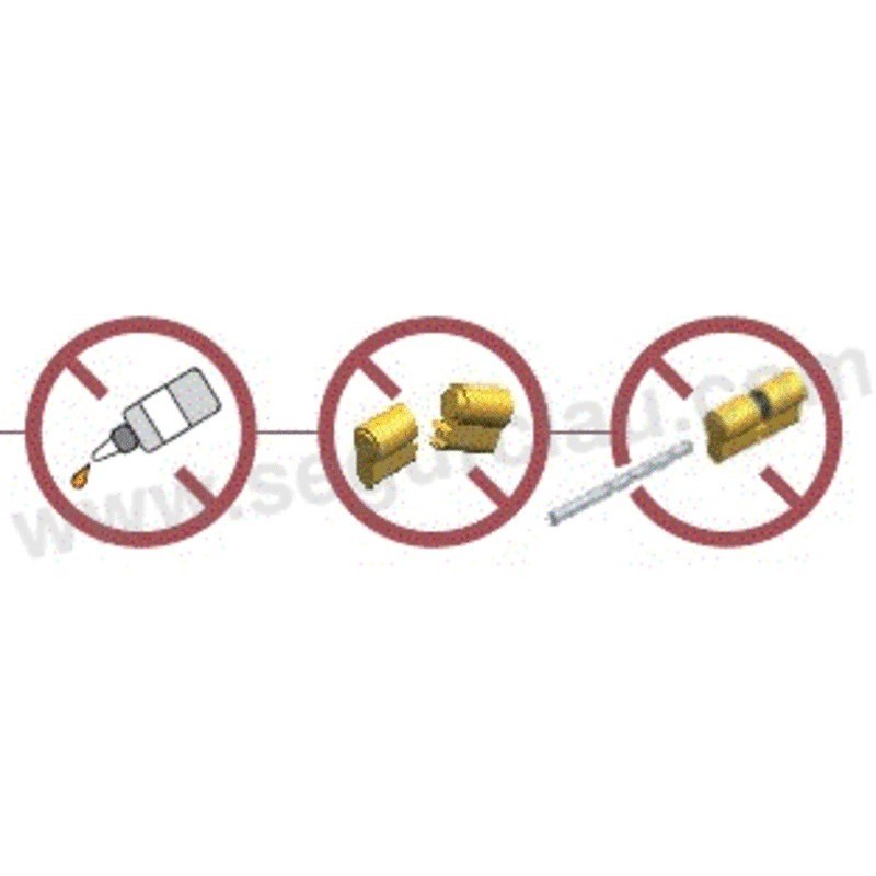 Escudo Protector Magnetico DISEC MG300 BC-3W