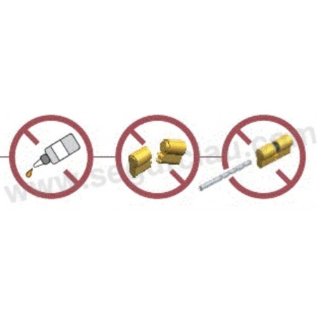 Escudo Protector Magnetico DISEC MG300 BC-3W