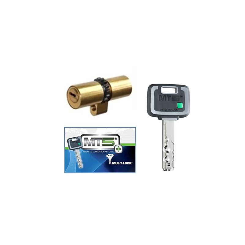 Cilindro MUL-T-LOCK MT5+ (perfil Suizo Arcu)