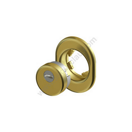 Escudo Protector DISEC Monolito BD 280-29D1R (Perfil Europeo) Escudo Protector DISEC Monolito BD 280-29D1R (Perfil Europeo)