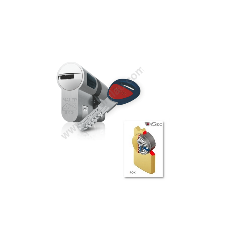 Kit Plus Escudo con Placa Disec 280EZC Rok + Bombin MAUER NW5
